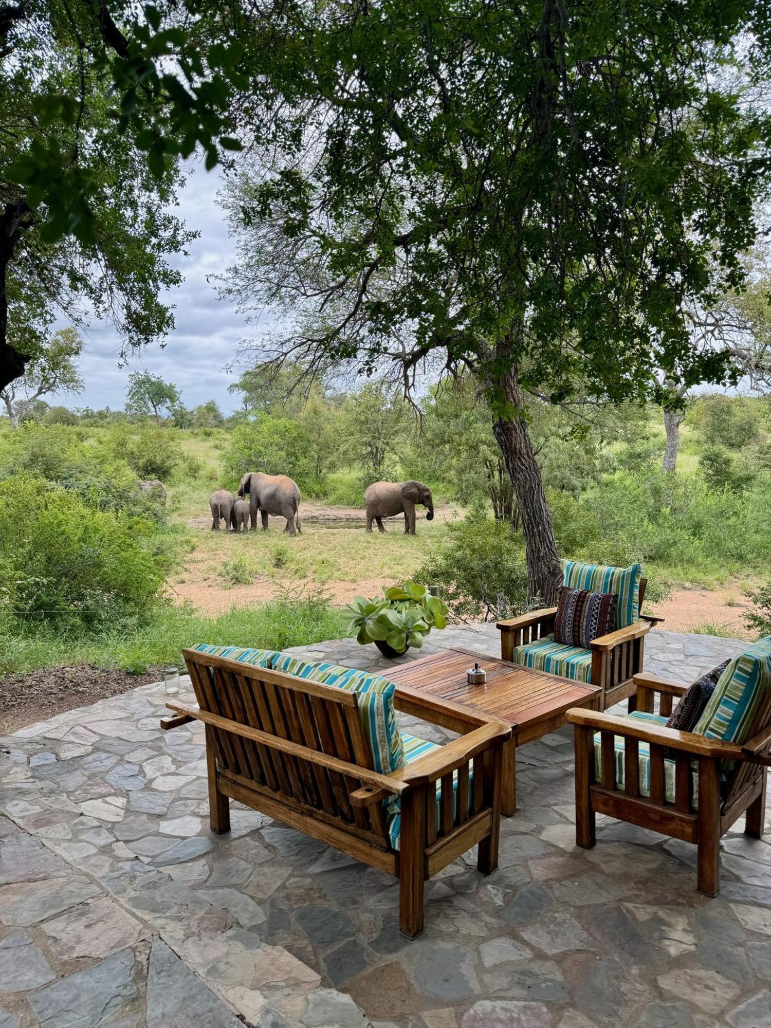 Ku Sungula Safari Lodge Khu bảo tồn Khu bảo tồn Balule Game Reserve Ngoại thất bức ảnh