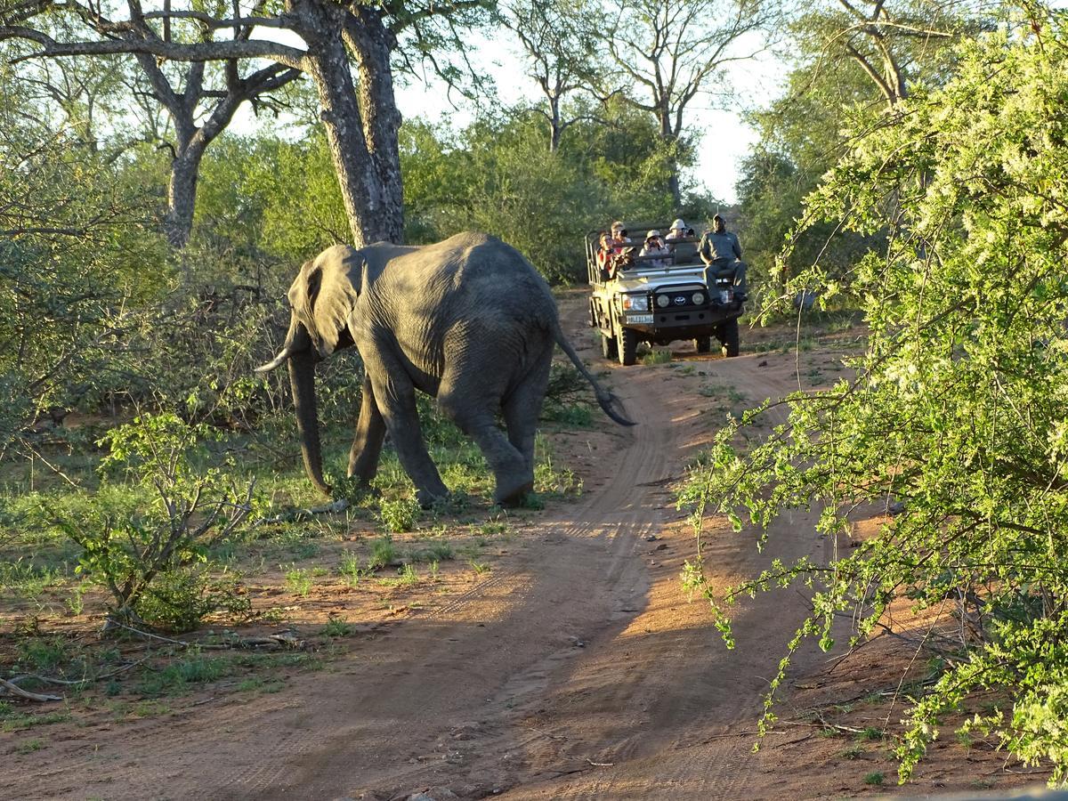 Ku Sungula Safari Lodge Khu bảo tồn Khu bảo tồn Balule Game Reserve Ngoại thất bức ảnh